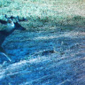 Meet your Posher, Toby